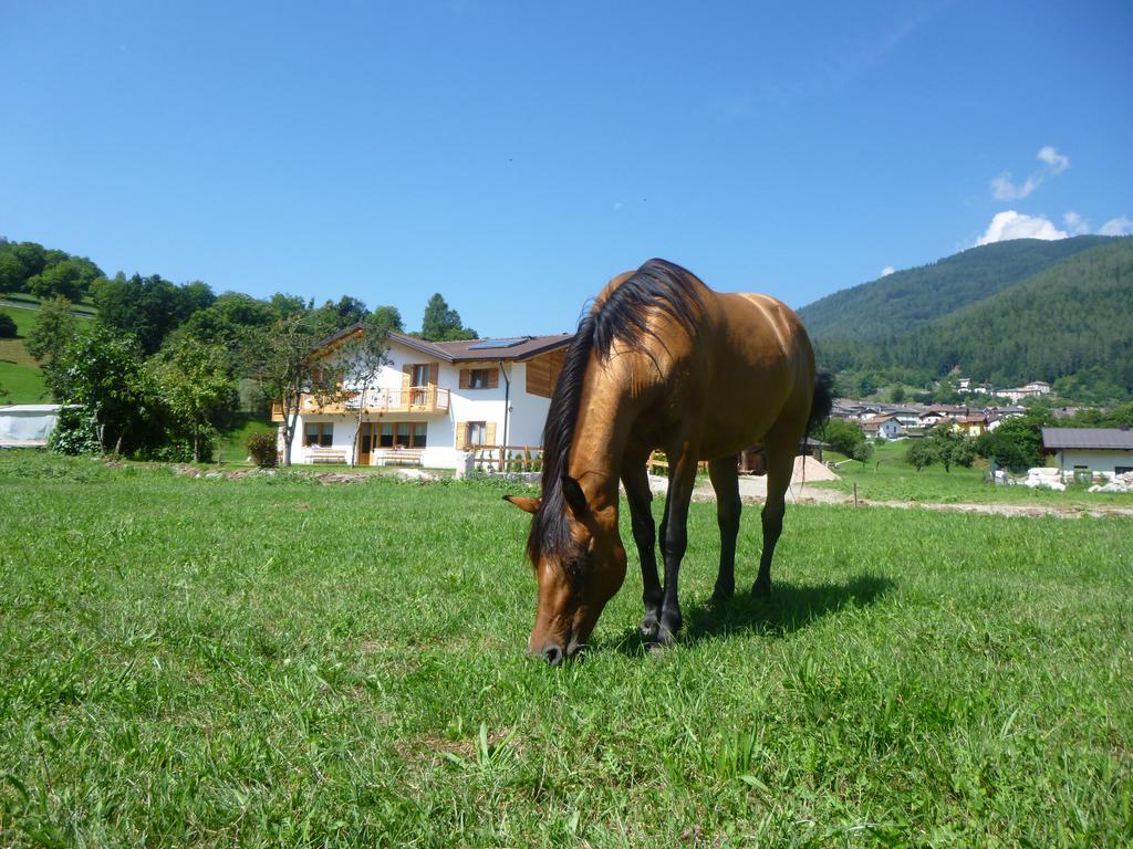 Agriturismo Fattoria Dalcastagne Torcegno Bagian luar foto