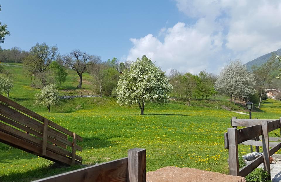 Agriturismo Fattoria Dalcastagne Torcegno Bagian luar foto