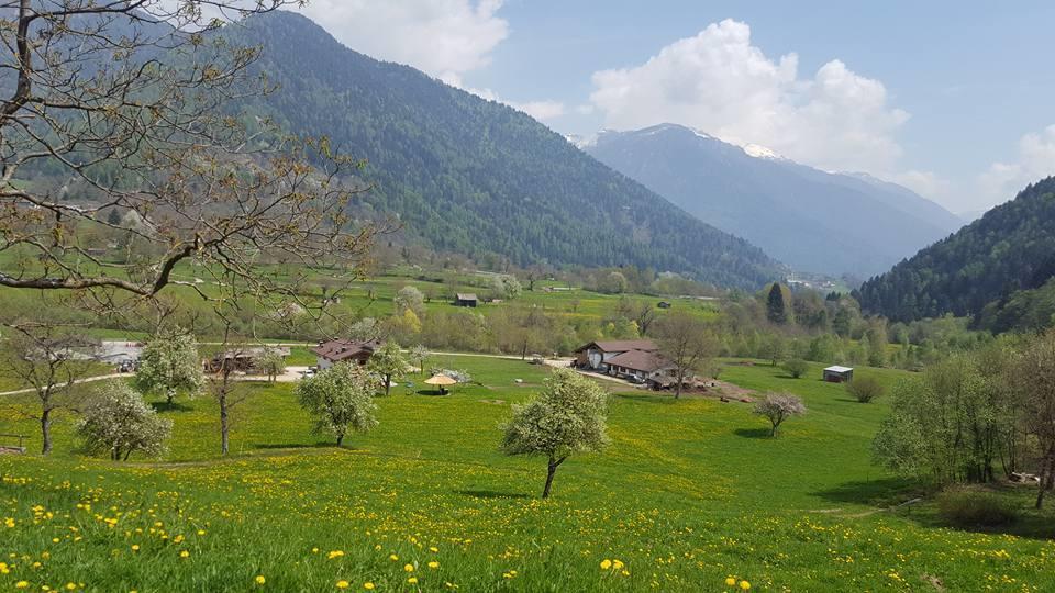 Agriturismo Fattoria Dalcastagne Torcegno Bagian luar foto